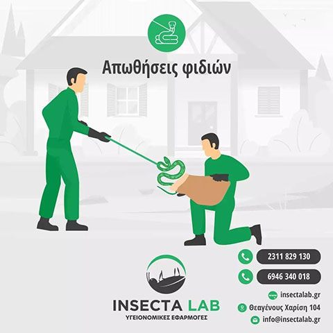 INSECTA LAB: Φωτογραφίες & Βίντεο