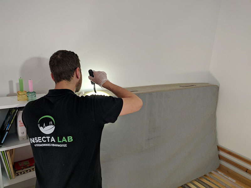 INSECTA LAB: Φωτογραφίες & Βίντεο