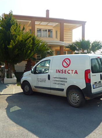 INSECTA: Φωτογραφίες & Βίντεο