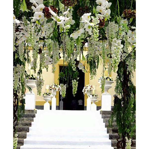 INTERFLORA ΕΠΙΣΗΜΟ ΔΙΚΤΥΟ: Φωτογραφίες & Βίντεο