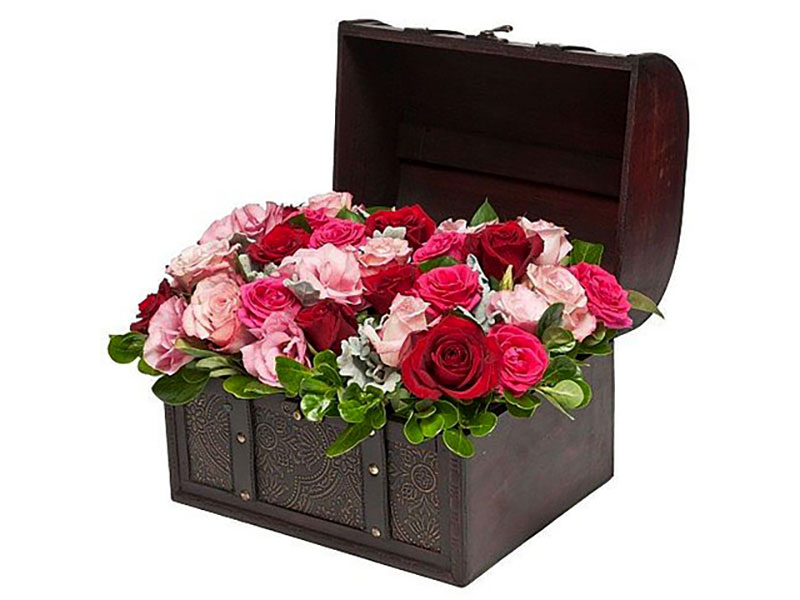 INTERFLORA ΕΠΙΣΗΜΟ ΔΙΚΤΥΟ: Φωτογραφίες & Βίντεο
