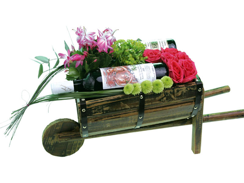 INTERFLORA ΕΠΙΣΗΜΟ ΔΙΚΤΥΟ: Φωτογραφίες & Βίντεο