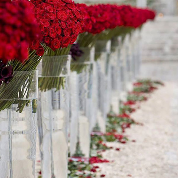 INTERFLORA ΕΠΙΣΗΜΟ ΔΙΚΤΥΟ: Φωτογραφίες & Βίντεο