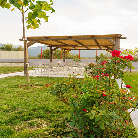 IOANNINA CAMPING: Φωτογραφίες & Βίντεο
