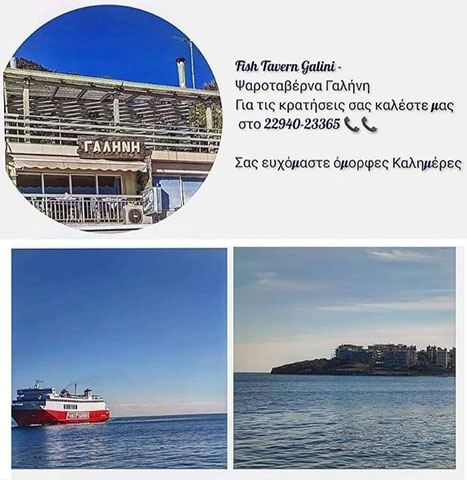 Η ΓΑΛΗΝΗ: Φωτογραφίες & Βίντεο