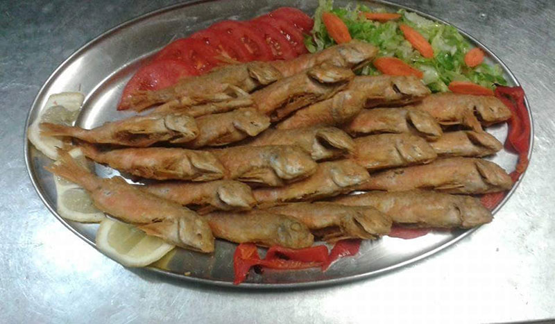 I PALIA SKALA - PAPADIS: Φωτογραφίες & Βίντεο