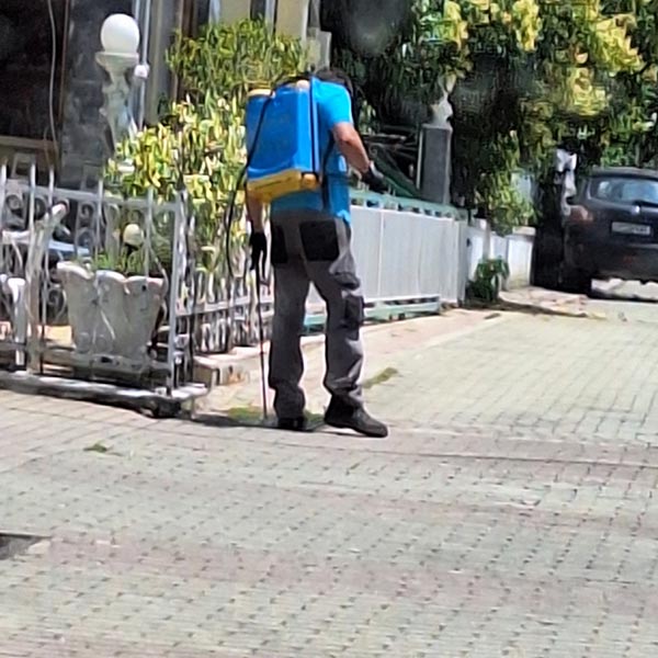 JALCO ΑΠΟΛΥΜΑΝΤΙΚΗ: Φωτογραφίες & Βίντεο