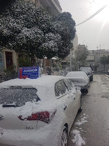JUNIOR - PISTOLIS NIKOS: Φωτογραφίες & Βίντεο