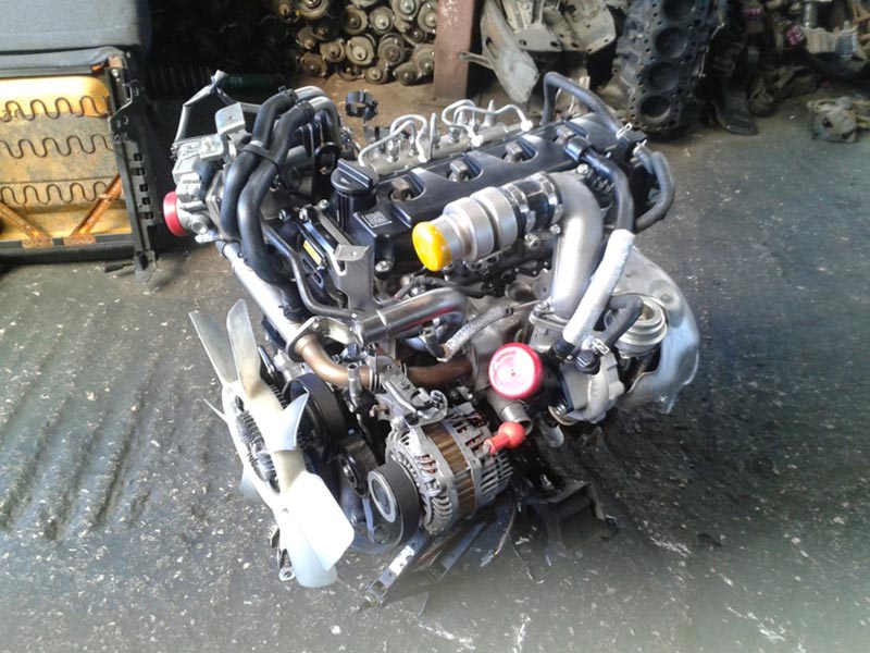 Engine NISSAN NAVARA D40 171-200ps