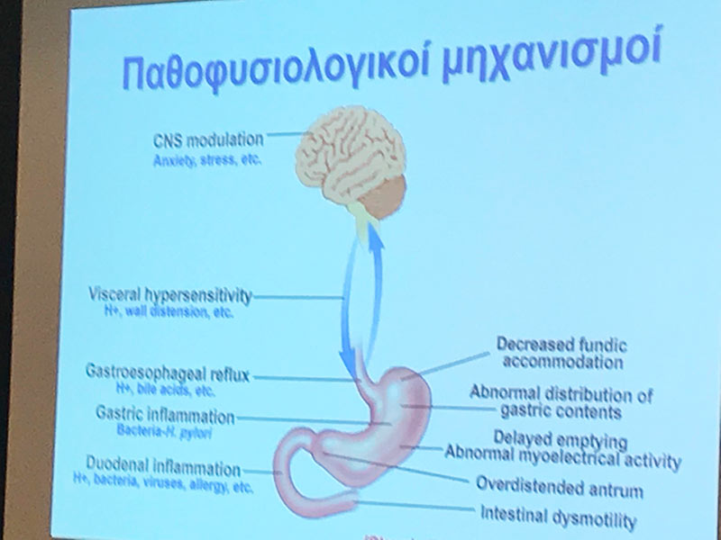 KAKAVETSI - DIMAKI VASILIKI MD, PHD: Φωτογραφίες & Βίντεο