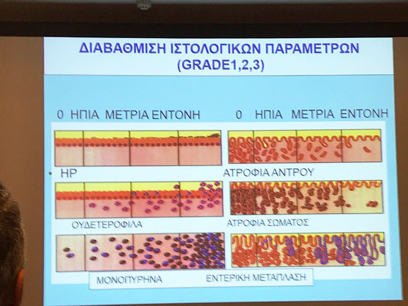 KAKAVETSI - DIMAKI VASILIKI MD, PHD: Φωτογραφίες & Βίντεο