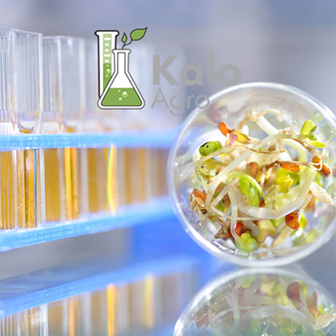 KALOCHEM AGROCHEMICALS KALOGEROPOULOS: Φωτογραφίες & Βίντεο
