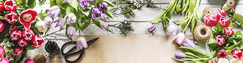 KALOUSIS FLOWERS: Φωτογραφίες & Βίντεο