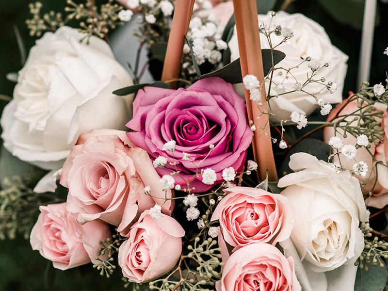 KALOUSIS FLOWERS: Φωτογραφίες & Βίντεο