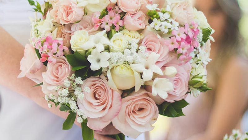KALOUSIS FLOWERS: Φωτογραφίες & Βίντεο