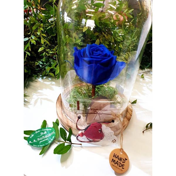 KALOUSIS FLOWERS: Φωτογραφίες & Βίντεο