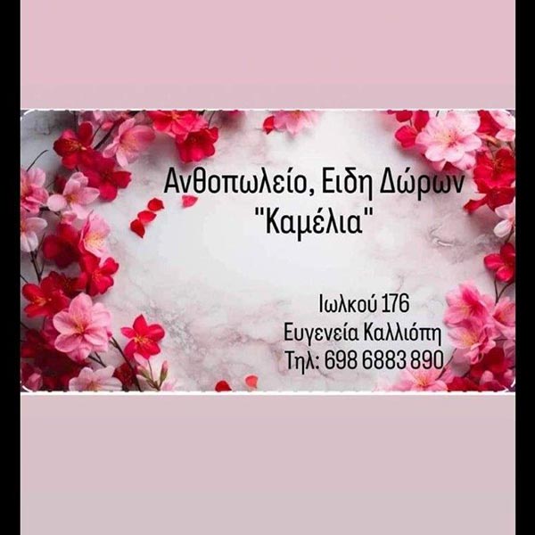 KAMELIA: Φωτογραφίες & Βίντεο