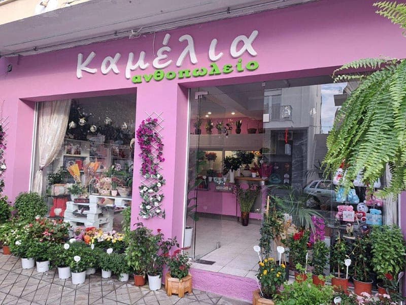 KAMELIA: Φωτογραφίες & Βίντεο