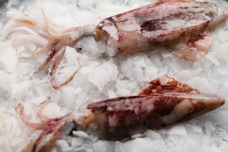 KAMIROS FISH: Φωτογραφίες & Βίντεο