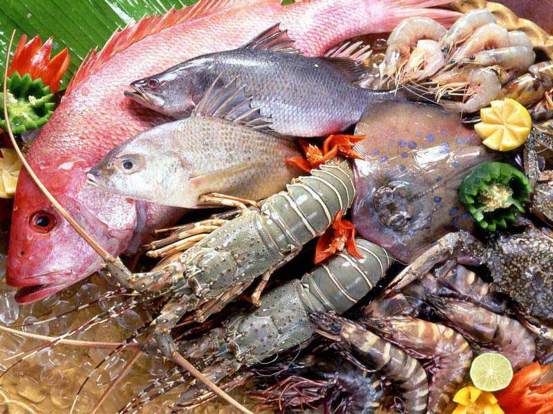 KAMIROS FISH: Φωτογραφίες & Βίντεο