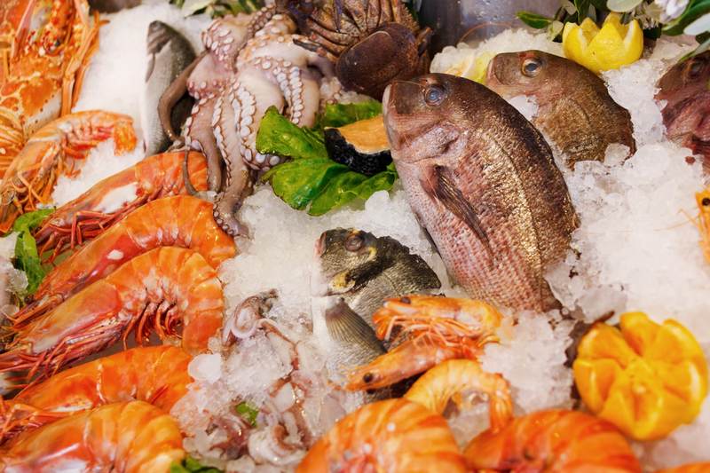 KAMIROS FISH: Φωτογραφίες & Βίντεο