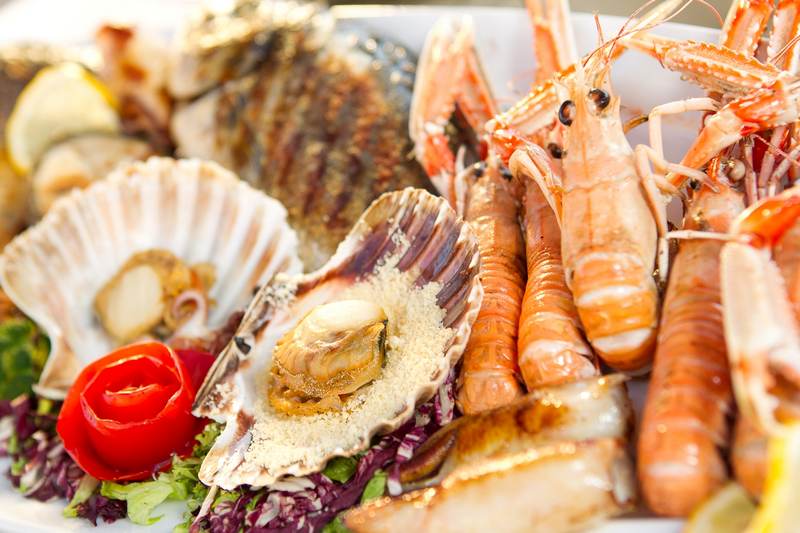 KAMIROS FISH: Φωτογραφίες & Βίντεο