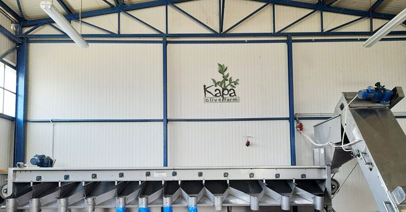 KAPA OLIVE FARM: Φωτογραφίες & Βίντεο