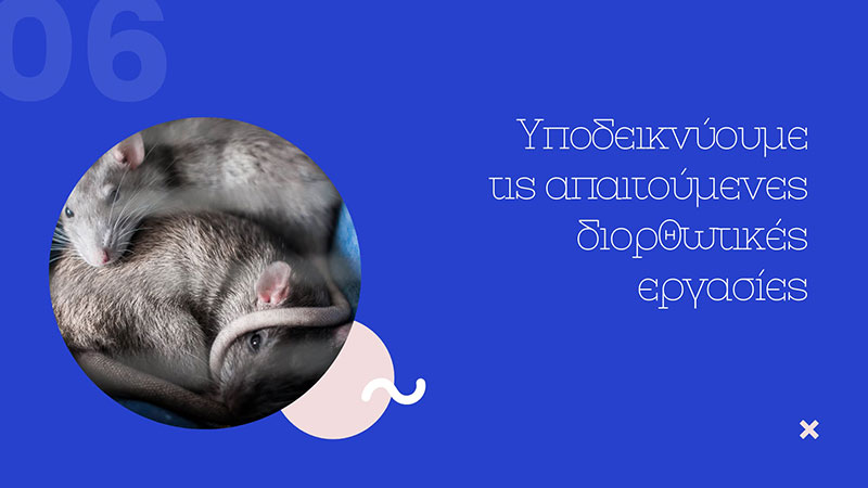KARAGEORGIOU EFSTRATIOS: Φωτογραφίες & Βίντεο