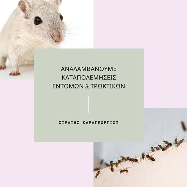 KARAGEORGIOU EFSTRATIOS: Φωτογραφίες & Βίντεο