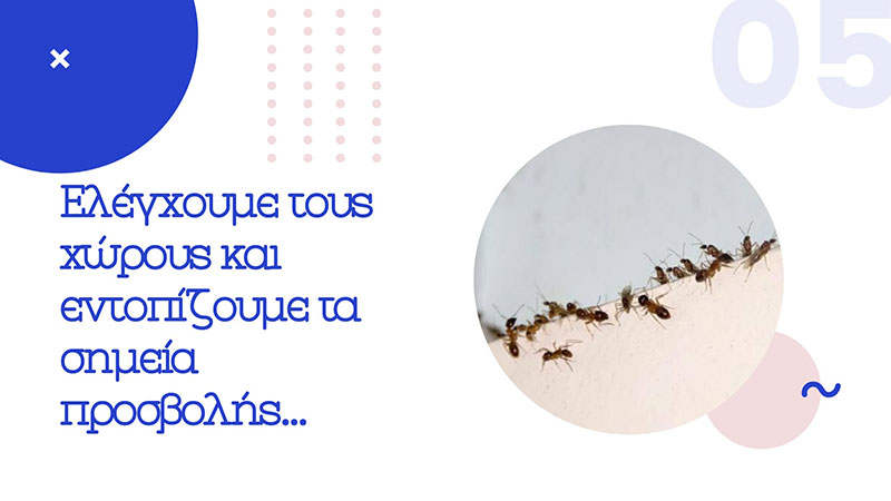 KARAGEORGIOU EFSTRATIOS: Φωτογραφίες & Βίντεο
