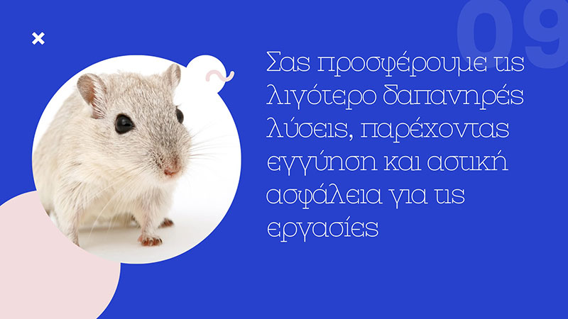 KARAGEORGIOU EFSTRATIOS: Φωτογραφίες & Βίντεο