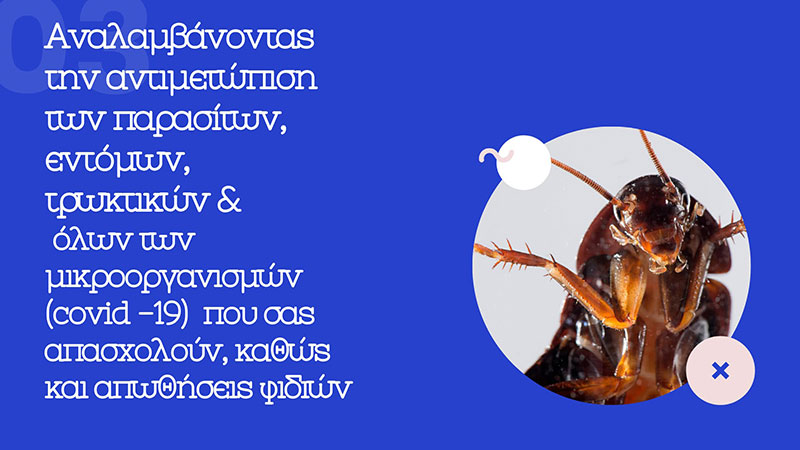 KARAGEORGIOU EFSTRATIOS: Φωτογραφίες & Βίντεο