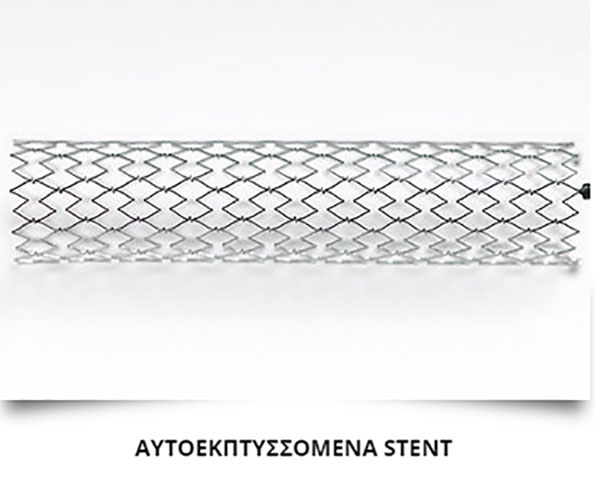 ΚΑΡΑΓΚΟΥΝΗΣ Α. ΛΑΜΠΡΟΣ: Φωτογραφίες & Βίντεο