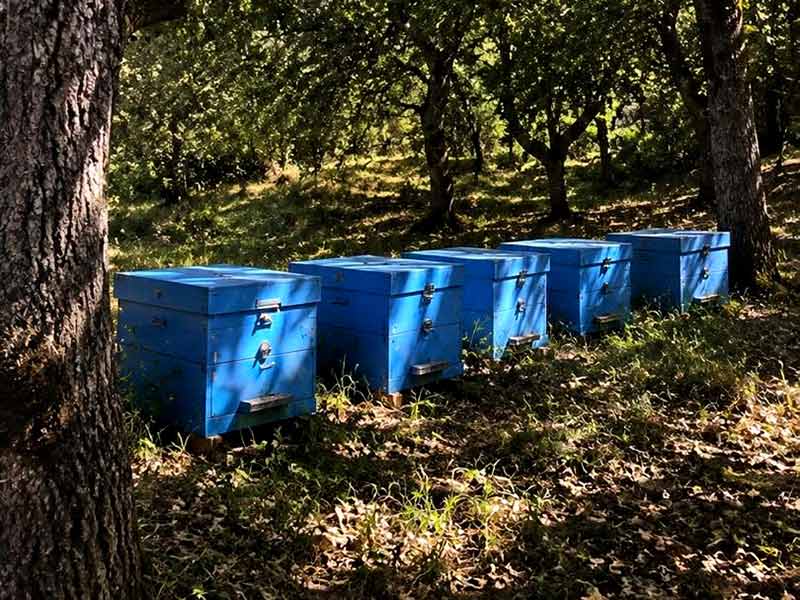 ΚΑΡΑΛΗΣ ΠΡΟΙΟΝΤΑ ΜΕΛΙΣΣΑΣ: Φωτογραφίες & Βίντεο