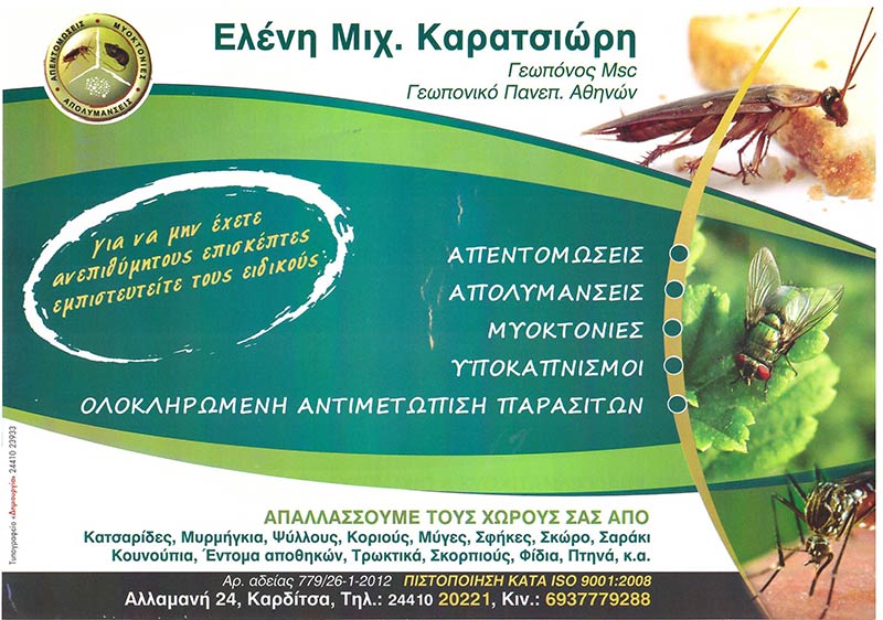 ΚΑΡΑΤΣΙΩΡΗ ΕΛΕΝΗ: Φωτογραφίες & Βίντεο