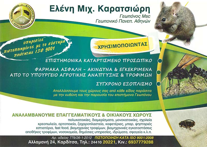 ΚΑΡΑΤΣΙΩΡΗ ΕΛΕΝΗ: Φωτογραφίες & Βίντεο
