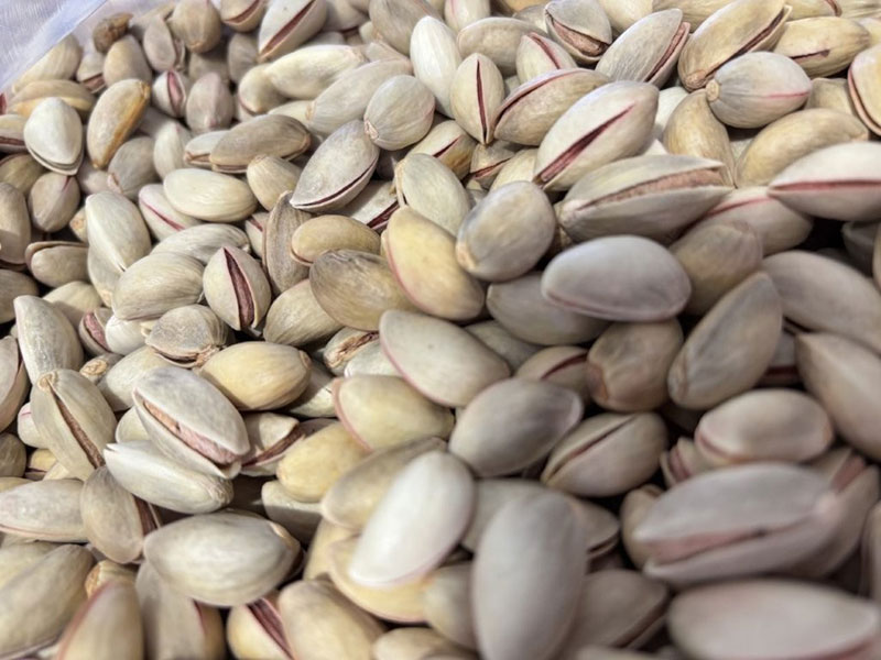 ΚΑΡΛΗΣ ΠΑΥΛΟΣ - NUTAREA DRY NUTS: Φωτογραφίες & Βίντεο