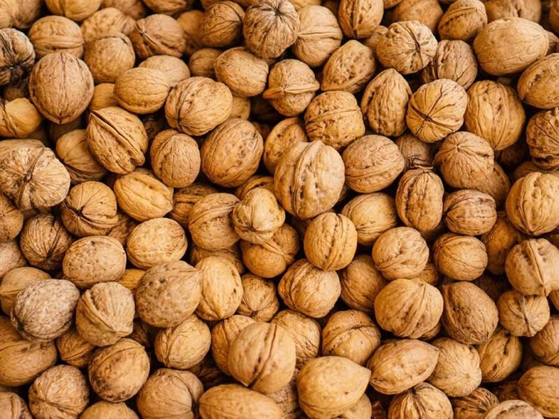 ΚΑΡΛΗΣ ΠΑΥΛΟΣ - NUTAREA DRY NUTS: Φωτογραφίες & Βίντεο