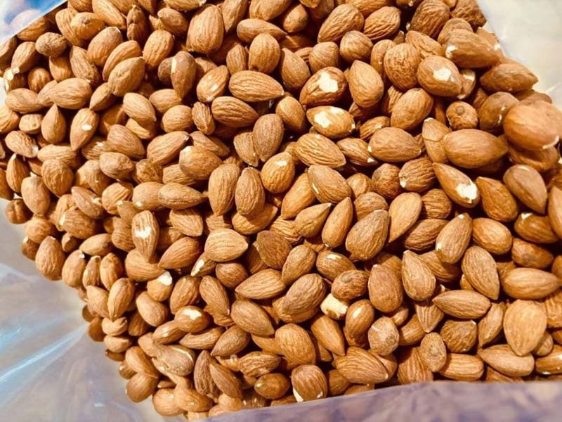ΚΑΡΛΗΣ ΠΑΥΛΟΣ - NUTAREA DRY NUTS: Φωτογραφίες & Βίντεο