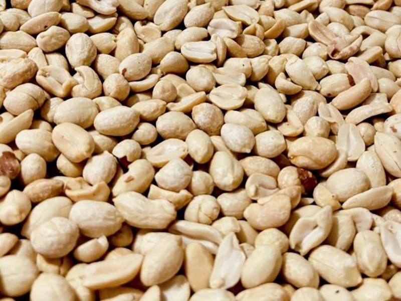 ΚΑΡΛΗΣ ΠΑΥΛΟΣ - NUTAREA DRY NUTS: Φωτογραφίες & Βίντεο
