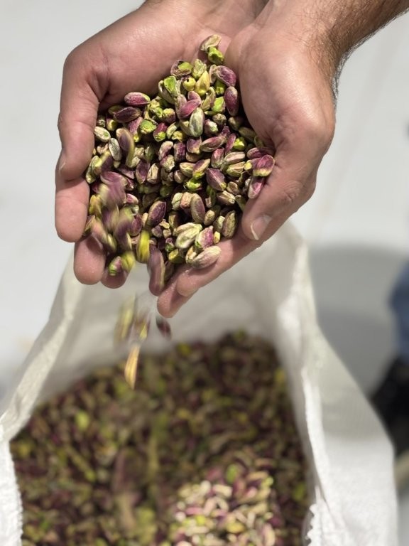 ΚΑΡΛΗΣ ΠΑΥΛΟΣ - NUTAREA DRY NUTS: Φωτογραφίες & Βίντεο