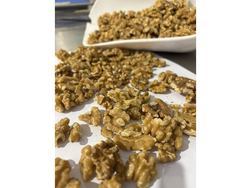 ΚΑΡΛΗΣ ΠΑΥΛΟΣ - NUTAREA DRY NUTS: Φωτογραφίες & Βίντεο
