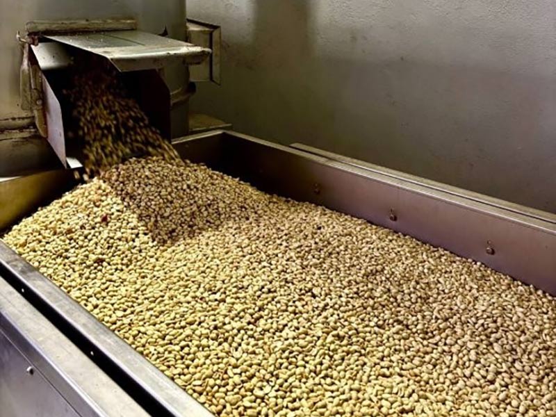 ΚΑΡΛΗΣ ΠΑΥΛΟΣ - NUTAREA DRY NUTS: Φωτογραφίες & Βίντεο