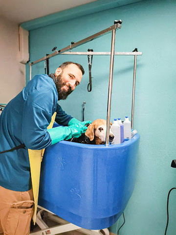 KARYPIDIS SERAFEIM - DOG IT GROOM AND TRAIN: Φωτογραφίες & Βίντεο