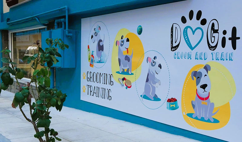KARYPIDIS SERAFEIM - DOG IT GROOM AND TRAIN: Φωτογραφίες & Βίντεο