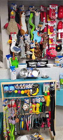 KARYPIDIS SERAFEIM - DOG IT GROOM AND TRAIN: Φωτογραφίες & Βίντεο