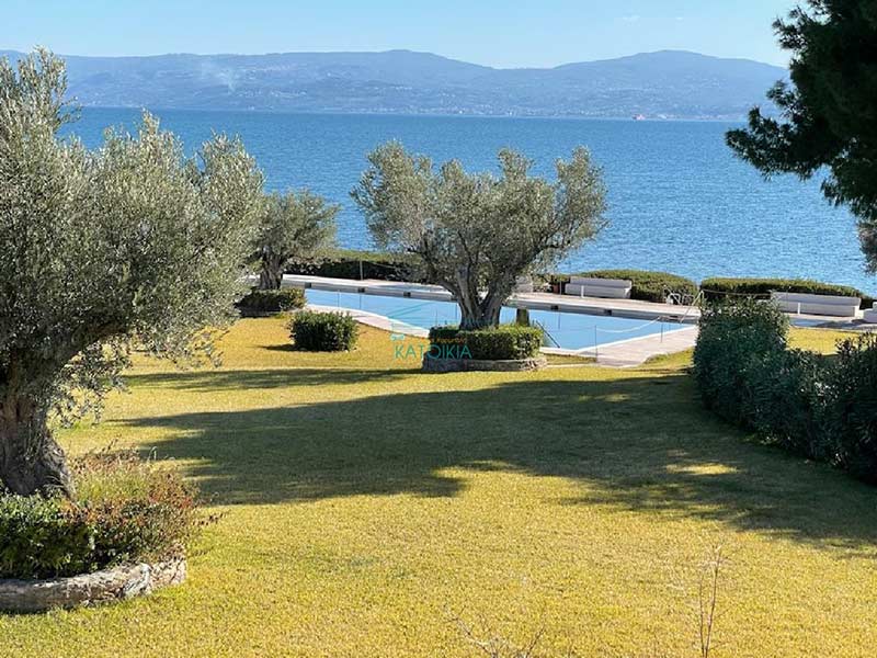 ΚΑΤΟΙΚΙΑ - ΧΑΡΜΠΑΛΗ ΜΙΝΑ: Φωτογραφίες & Βίντεο