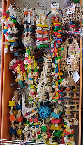 KATRIS PET SHOP: Φωτογραφίες & Βίντεο