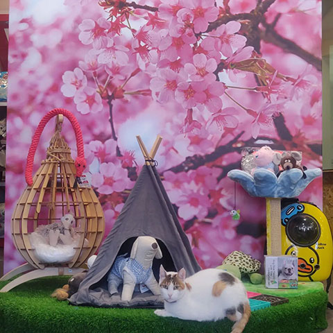 KATRIS PET SHOP: Φωτογραφίες & Βίντεο