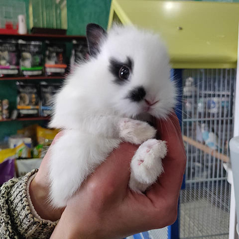 KATRIS PET SHOP: Φωτογραφίες & Βίντεο
